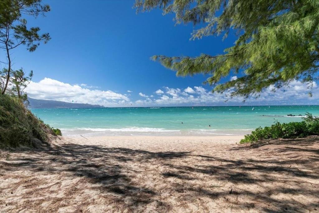 Unit 12 Maui Ohana Modern Studio Wailuku ภายนอก รูปภาพ